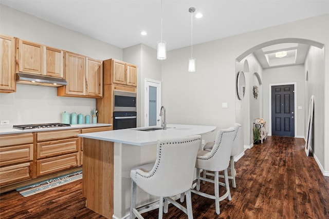 7505 Comal River Trce, Mckinney, TX 75071 - kitchen featuring appliances with stainless steel finishes, light brown cabinetry, under cabinet range hood, light countertops, and dark wood-type flooring