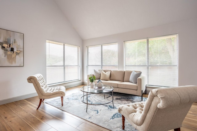 947 Aspen Dr, Desoto, TX 75115 - living area featuring high vaulted ceiling and wood finished floors