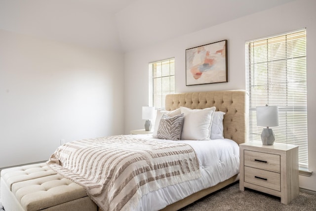 947 Aspen Dr, Desoto, TX 75115 - carpeted bedroom featuring multiple windows and vaulted ceiling