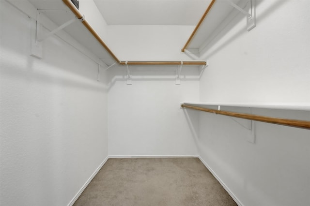 5900 Rising Meadow Dr, Arlington, TX 76018 - spacious closet featuring carpet flooring