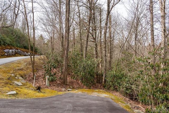 Listing photo 3 for 364 Cross Creek Trl, Cullowhee NC 28723