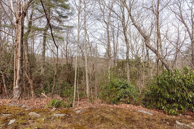 Listing photo 2 for 364 Cross Creek Trl, Cullowhee NC 28723