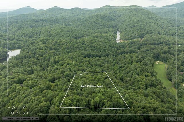 aerial view with a mountain view