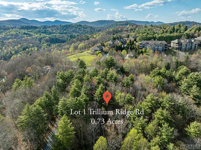 LOT1 Center Ridge Rd, Cullowhee NC, 28723 land for sale