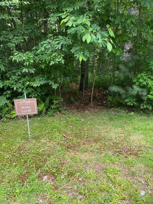 Listing photo 3 for LOT40 Lilium Ln, Cullowhee NC 28723