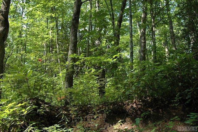 LOT16 Zeb Alley Rd, Cashiers NC, 28717 land for sale