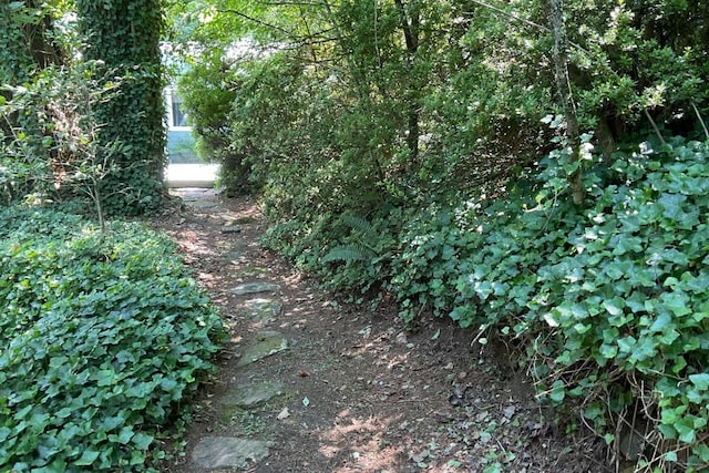 139 Heady Mountain Rd, Cashiers, NC 28717 - photo 31