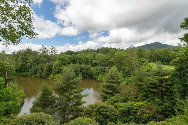 119 Old Still Rd, Sapphire, NC 28774 - drone / aerial view of a water and mountain view