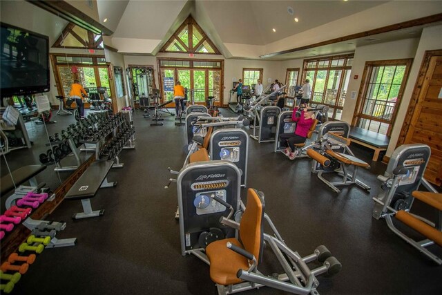 119 Old Still Rd, Sapphire, NC 28774 - exercise room featuring french doors, vaulted ceiling, and recessed lighting