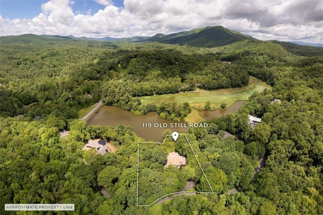 119 Old Still Rd, Sapphire, NC 28774 - view of property location featuring property boundaries highlighted and a water and mountain view