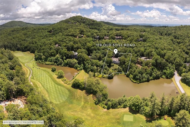 119 Old Still Rd, Sapphire, NC 28774 - aerial view of property and surrounding area featuring a nearby body of water and property boundaries highlighted