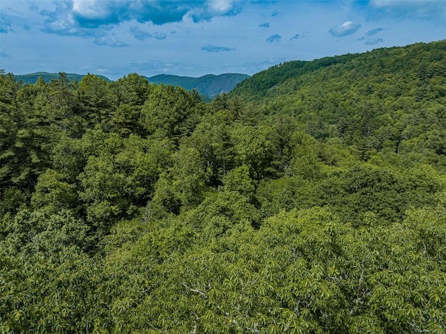 Listing photo 3 for 43 Rochester Dr, Cashiers NC 28717