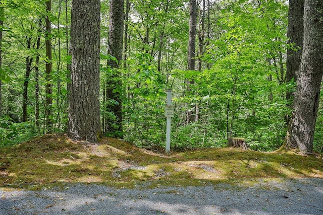 43 Rochester Dr, Cashiers NC, 28717 land for sale