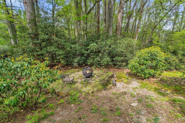 view of yard featuring a fire pit