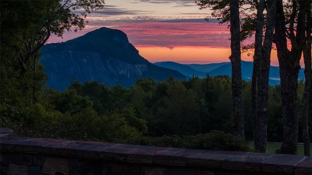mountain view featuring a wooded view