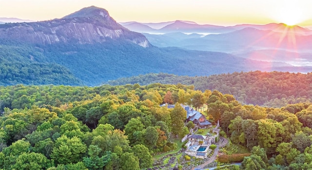 view of mountain feature with a forest view