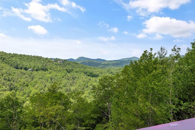 148 E Ridge Rd, Cashiers, NC 28717 - view of mountain background with a forest