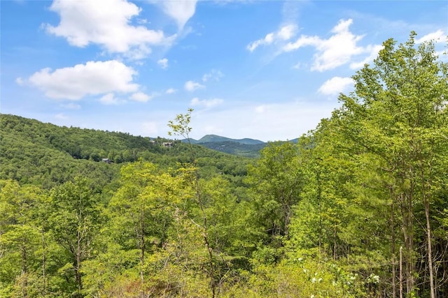 148 E Ridge Rd, Cashiers, NC 28717 - view of mountain background with a forest