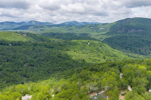 148 E Ridge Rd, Cashiers, NC 28717 - view of mountain backdrop with a heavily wooded area