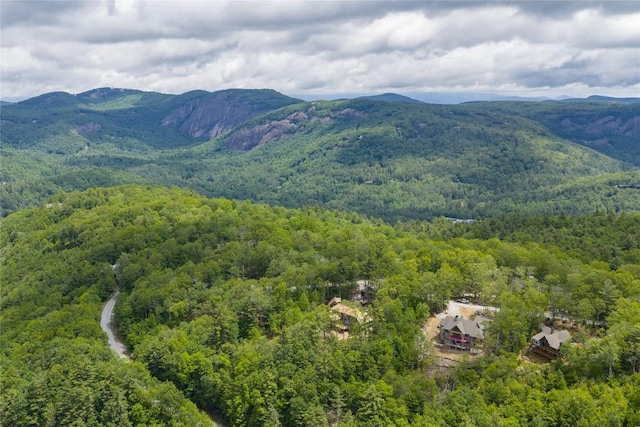 148 E Ridge Rd, Cashiers, NC 28717 - mountain view featuring a forest