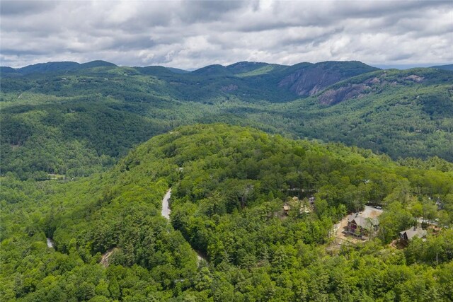 148 E Ridge Rd, Cashiers, NC 28717 - mountain view featuring a heavily wooded area