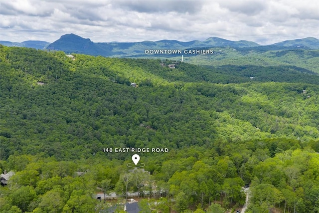 148 E Ridge Rd, Cashiers, NC 28717 - view of mountain background featuring a heavily wooded area