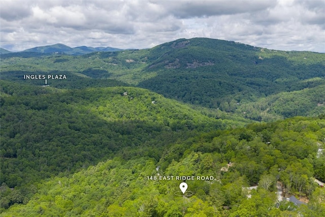 148 E Ridge Rd, Cashiers, NC 28717 - view of mountain background with a forest
