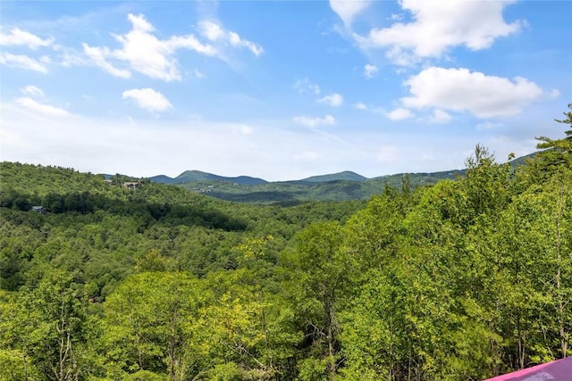 148 E Ridge Rd, Cashiers, NC 28717 - view of mountain backdrop featuring a forest