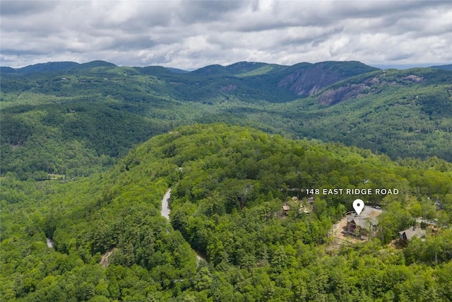 148 E Ridge Rd, Cashiers, NC 28717 - view of mountain background with a forest