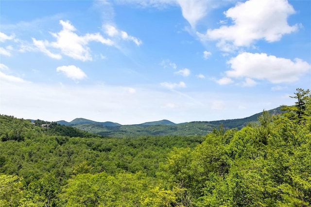 148 E Ridge Rd, Cashiers, NC 28717 - view of mountain backdrop with a forest
