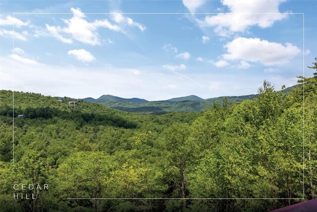 148 E Ridge Rd, Cashiers, NC 28717 - view of mountain background featuring a forest
