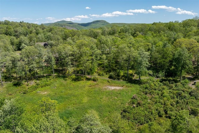 N20 Outpost Trl, Glenville, NC 28736