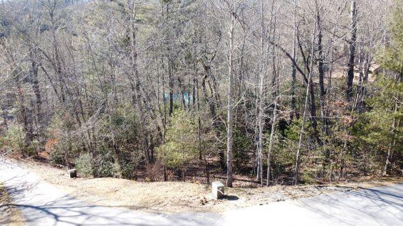 14 Arbor Grn, Cashiers NC, 28717 land for sale