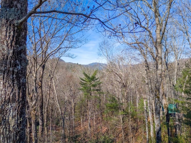 mountain view featuring a forest view