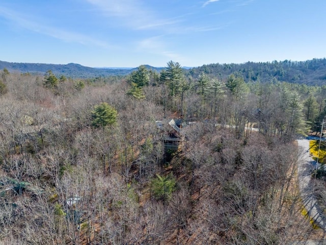 birds eye view of property featuring a forest view and a mountain view