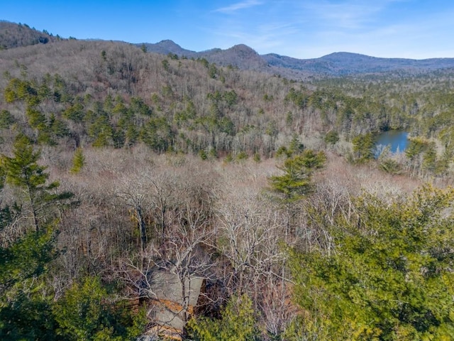 mountain view with a forest view and a water view