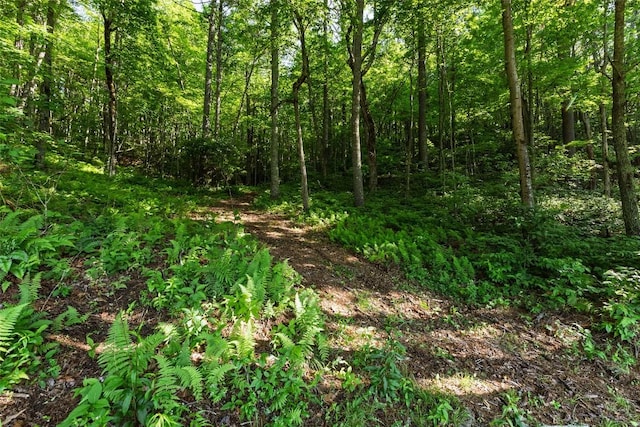 560 Salt Rock Rd, Cullowhee, NC 28723