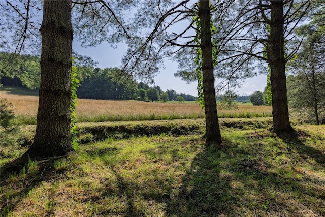 560 Salt Rock Rd, Cullowhee, NC 28723