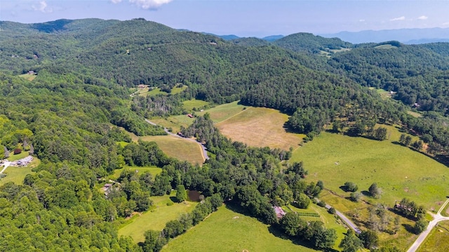 560 Salt Rock Rd, Cullowhee, NC 28723