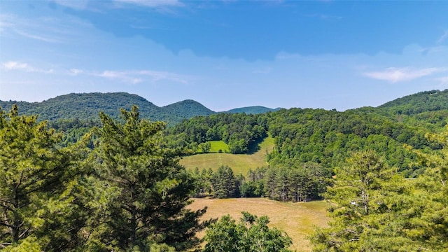 560 Salt Rock Rd, Cullowhee, NC 28723