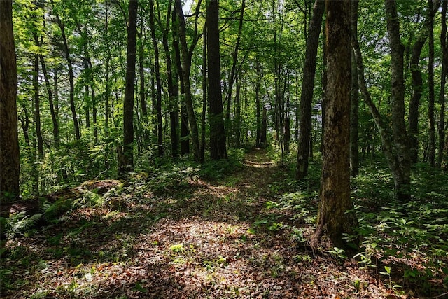 560 Salt Rock Rd, Cullowhee, NC 28723