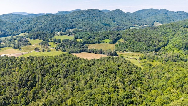 560 Salt Rock Rd, Cullowhee, NC 28723