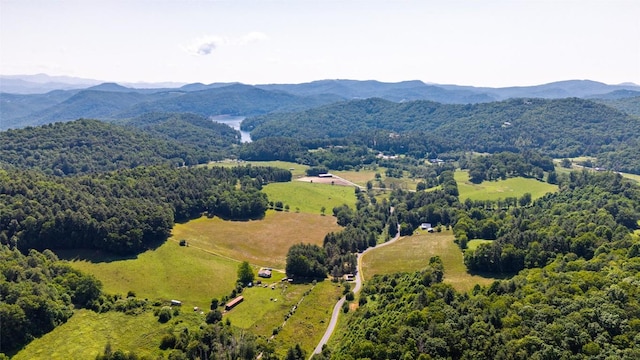 560 Salt Rock Rd, Cullowhee, NC 28723