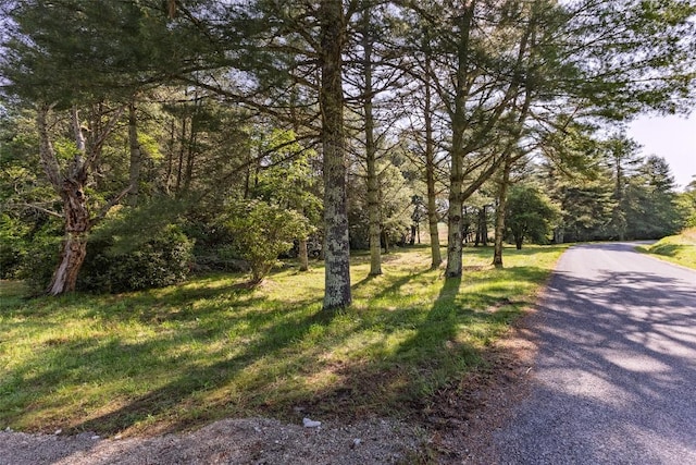 560 Salt Rock Rd, Cullowhee, NC 28723