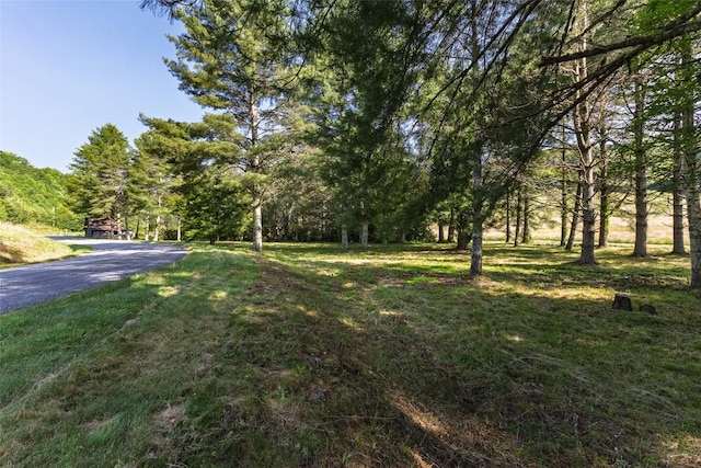 560 Salt Rock Rd, Cullowhee, NC 28723