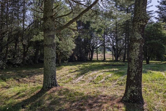 560 Salt Rock Rd, Cullowhee, NC 28723