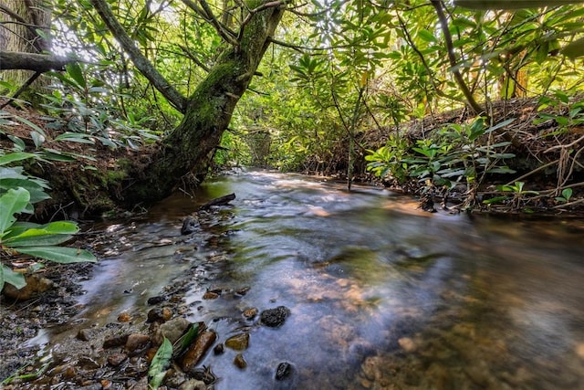 560 Salt Rock Rd, Cullowhee, NC 28723