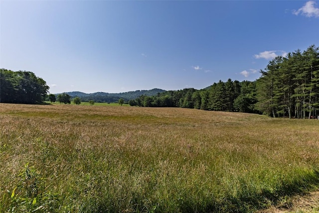 560 Salt Rock Rd, Cullowhee, NC 28723