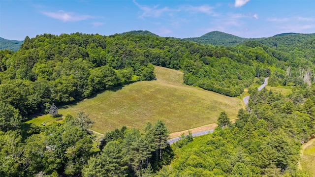560 Salt Rock Rd, Cullowhee, NC 28723