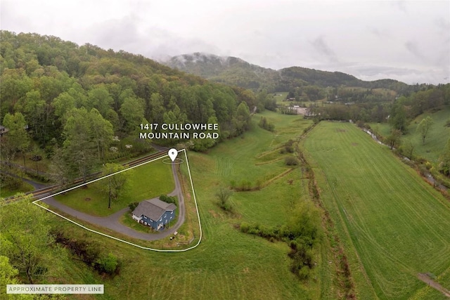 birds eye view of property with a rural view and a mountain view